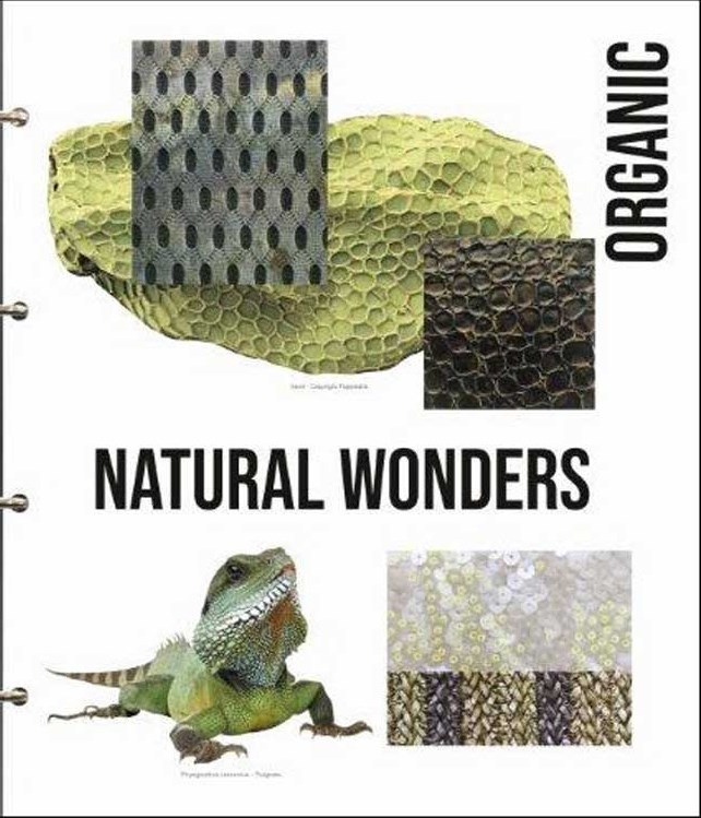 A+A Surfaces Material Trends AW 22-23