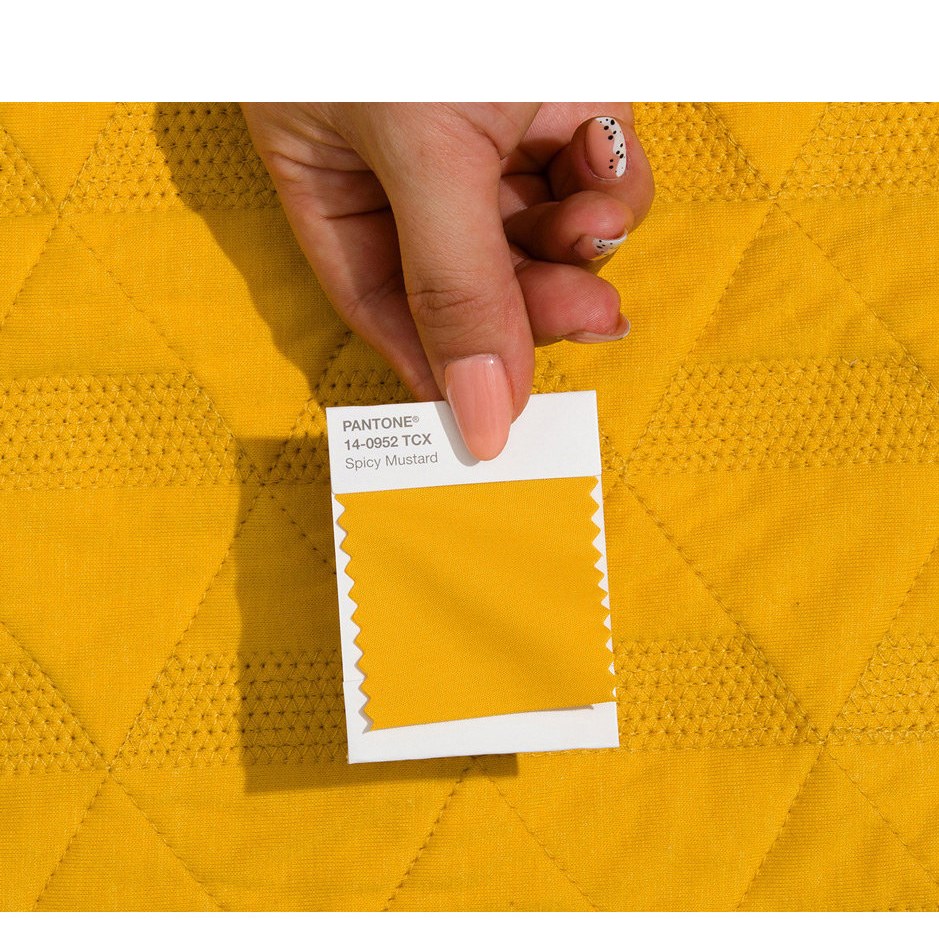 PANTONE Fashion & Home Cotton Swatch 