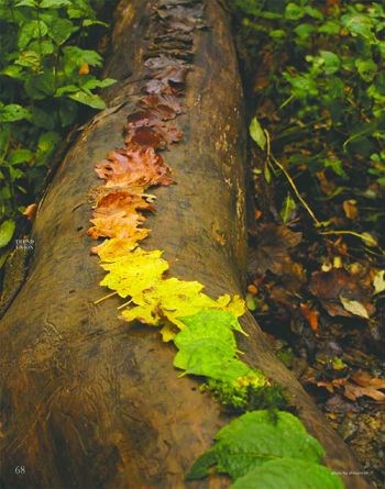 Trend Union General Trends AW 22-23