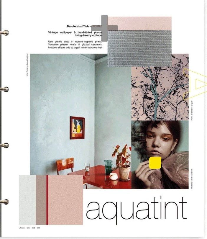 A+A Life in Color SS 22