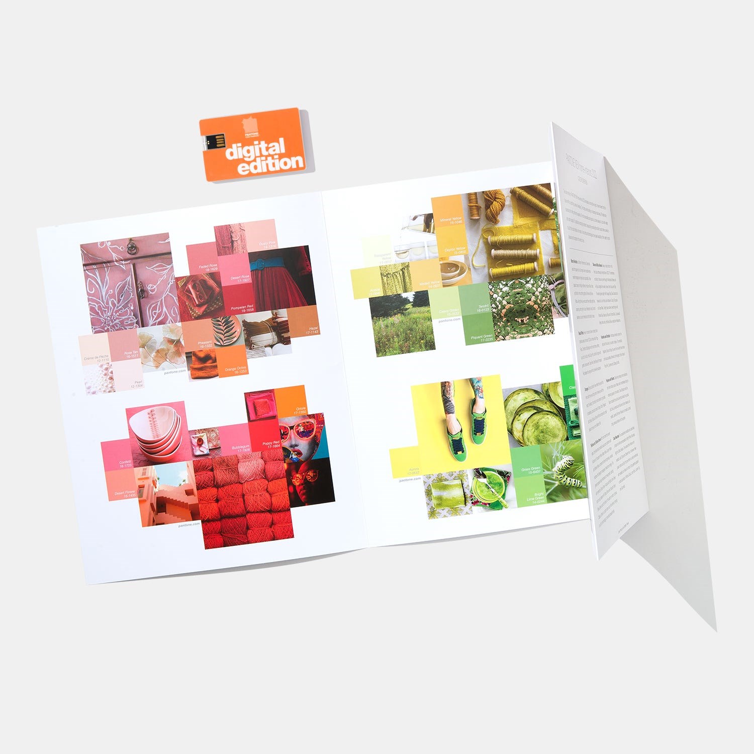 Pantone View Home + Interior 2022