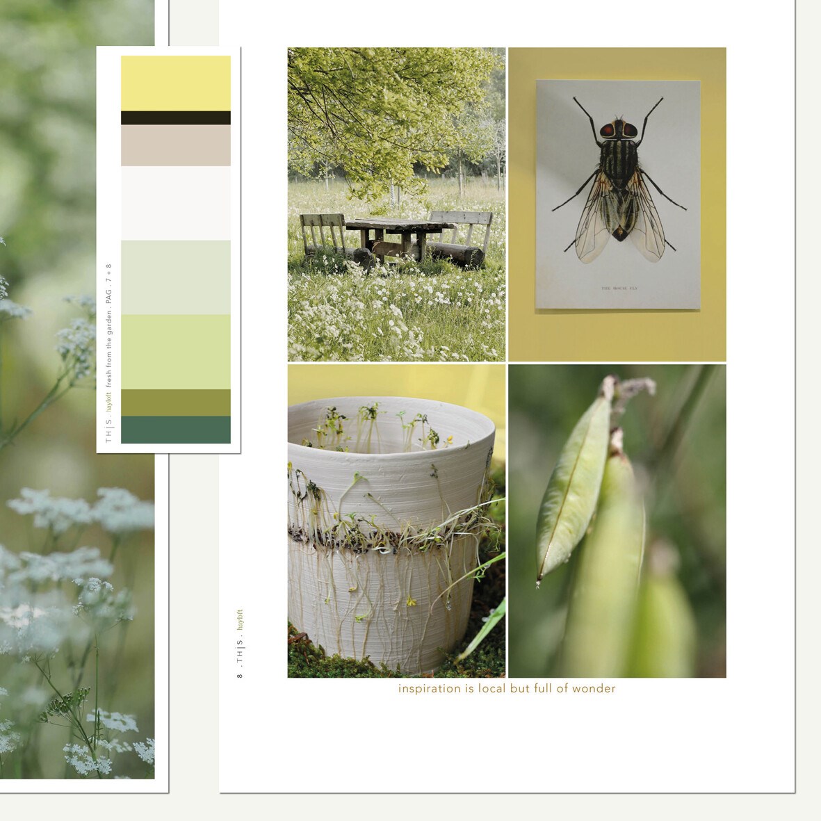 THJS Cover INSIGHT SS 22