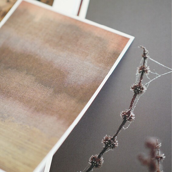 THJS Cover INSIGHT SS 22