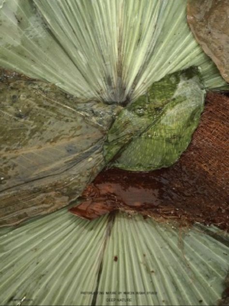 Viewpoint Colour no. 09