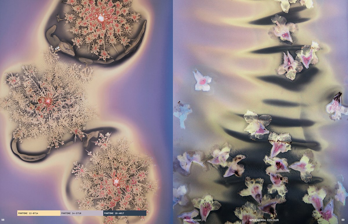 Viewpoint Colour no. 09