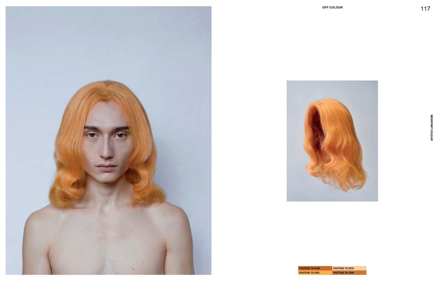 Viewpoint Colour no. 08