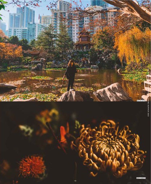 Trendhouse Casual & Athleisure  SS 23