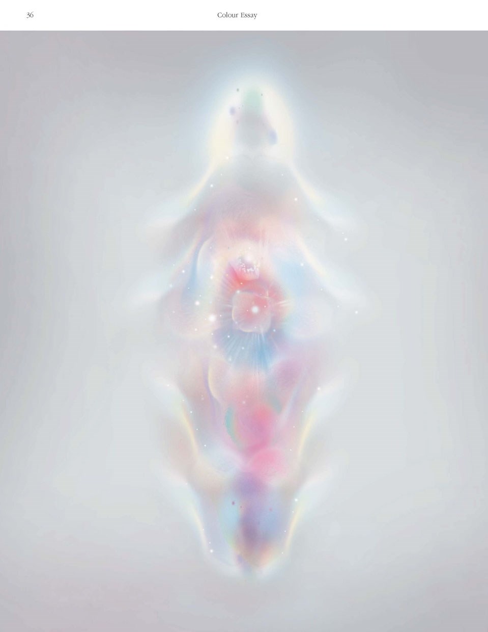 Viewpoint Colour no. 10