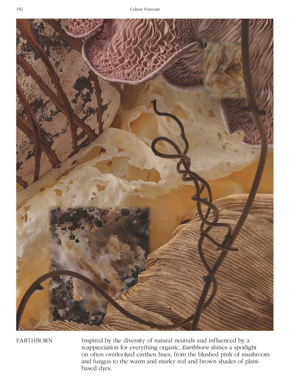 Viewpoint Colour no. 10