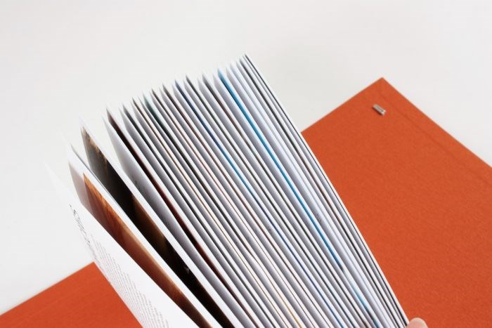 Trend Union Colours - Pigment Prophecies AW 23-24