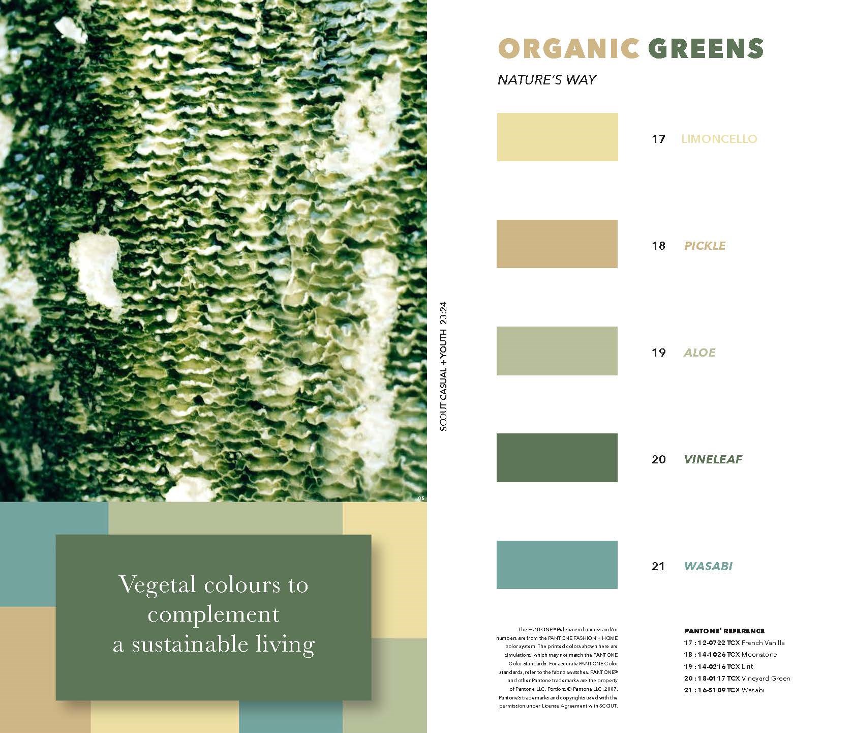 Scout Casual Color & Concept AW 23-24