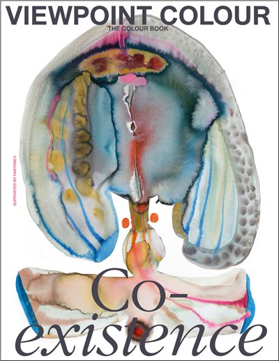 Viewpoint Colour no. 10